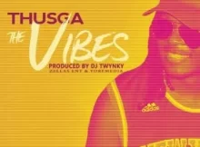 Thusga – The Vibes