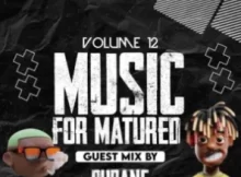 Dubane & Tshepza T – Music For Matured Volume 12