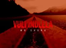 Mr Shona – Vul’indlela