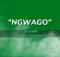 Prince Benza ft Makhadzi – Ngwago Lyrics (with English Translation)