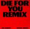 Die For You Remix - The weeknd ft Ariana Grande
