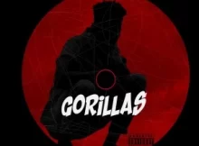 Spesher Kool – Gorillas