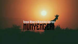 Tongai Moyo Songs 2023 : Munyengeri Mp3 Download Fakaza