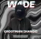 W4DE – Grootman Shandis