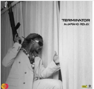 DJ Medna & Asake – Terminator Amapiano Remix