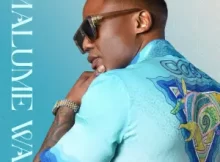 DJ Tira & Skillz – Korobela (feat. Murumba Pitch & Q Twins)