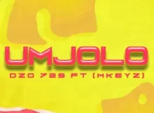 Dzo 729 – Umjolo (feat. Mkeyz)