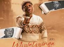 Fortunator – Mvulatswinga Album