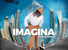 Kuku Nkandanga – Imagina (Dhilaadhila) ALBUM