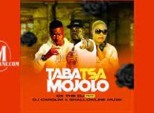 Ck The Dj – Taba Tsa Mojolo – Ft Dj Carolim & Shallowline Muzik