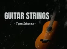 Team Sebenza – Guitar Strings