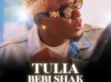 Willy Paul – Tulia (Bebi Shak)