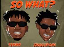 Tekno – So What? Ft. Shallipopi