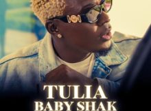 Willy Paul – Tulia Baby Shak