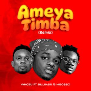 Whozu Ft. Mbosso & Billnass – Ameyatimba Remix