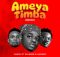 Whozu Ft. Mbosso & Billnass – Ameyatimba Remix