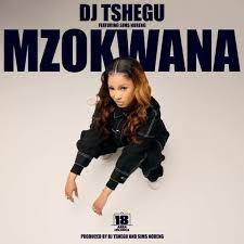 Dj Tshegu & Focalistic – Mzokwana Ft Sims Noreng