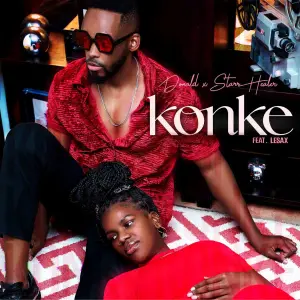 Donald & Starr Healer – Konke (feat. Lesax)