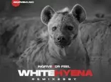 InQfive & Dr Feel – White Hyena (Motivesoul Remix)