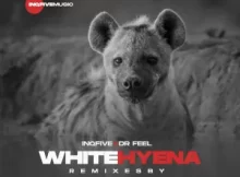 InQfive & Dr Feel – White Hyena (Thab De Soul Remix)