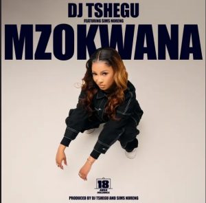 Mzukwana Dj Tshego Mp3 Download Fakaza