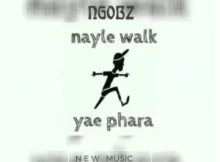 Ngobz – Nayle Walk Revisit (To Tyler Icu, Nandipha 808 & Ceeka) ft Snyper Reloaded, Youngmusiq & Sthipla Rsa