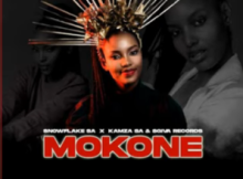 SnowFlake The Vocalist – ‎Mokone ft KaMza SA & Sgiva Record