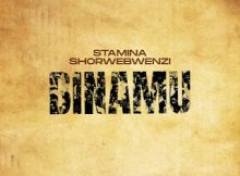 Stamina Ft. MwanaFA – Binamu Remix