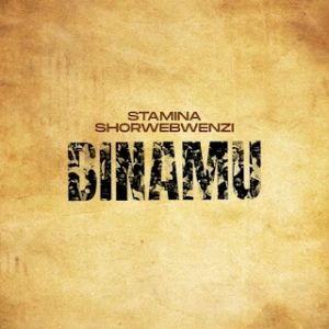 Stamina Ft. MwanaFA – Binamu Remix