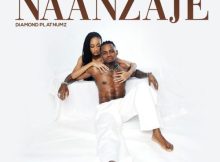 Diamond Platnumz – Naanzaje