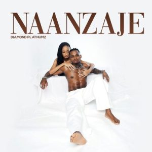 Diamond Platnumz – Naanzaje