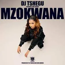 Mzukwana Dj Tshegu Songs Mp3 Download