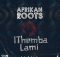 Afrikan Roots – iThemba Lami ft. Melo