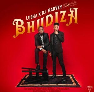 DJ Harvey & Lusha – Bhudiza ft. TA MusiQ, Citykingrsa, JFS Music, Blvcknavy & Deeray