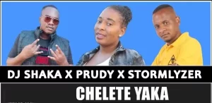 Dj Prudy & Stormlyzer – Chelete Yaka