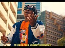 Msamiati x Lody Music – Ananichanganya Mp4 Download