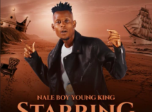 Naleboy Young King – Makoti ke dipoto Ft. Chechi the DJ Mp3 Download