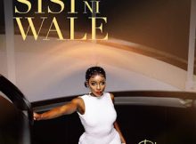 Phina – Sisi Ni Wale Mp3 Download