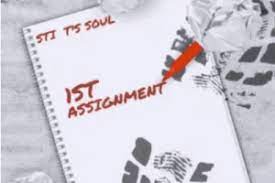 STI T’s Soul – 1St Assignment EP