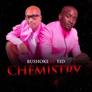 Bushoke Ft TID – Chemistry