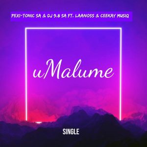 DJ 9.8 SA Umalume ft Pexi-Tonic SA Mp3 Download Fakaza