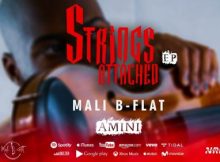 Mali B-Flat – Amini