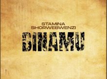 Stamina – Binamu Ft MwanaFA