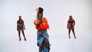 VIDEO: Frida Amani – Wapi Ft Young Lunya