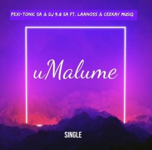 Pexi-Tonic SA & DJ 9.8 SA – uMalume ft. Laanoss & Ceekay Musiq