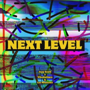 Vibekulture Sa – Next Level Ft. Vibekulture Sa