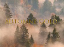 Drs – Automne Gold