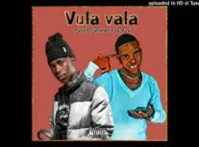 Bongza Bee Feat. DrummeRTee924 – Vula Vala