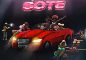 DanDizzy – Sote ft. Falz