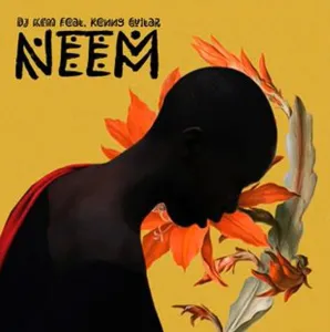 Dj KCM & Kenny Guitar – Neem